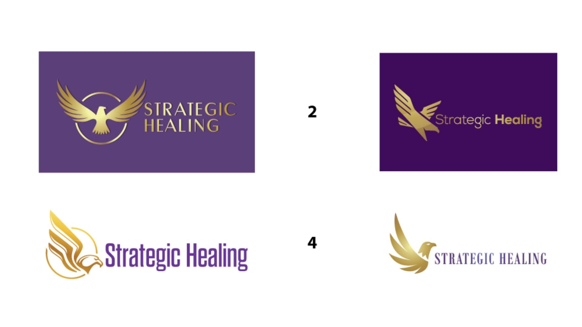 Strategic Healing - Eagle Concept 1-4