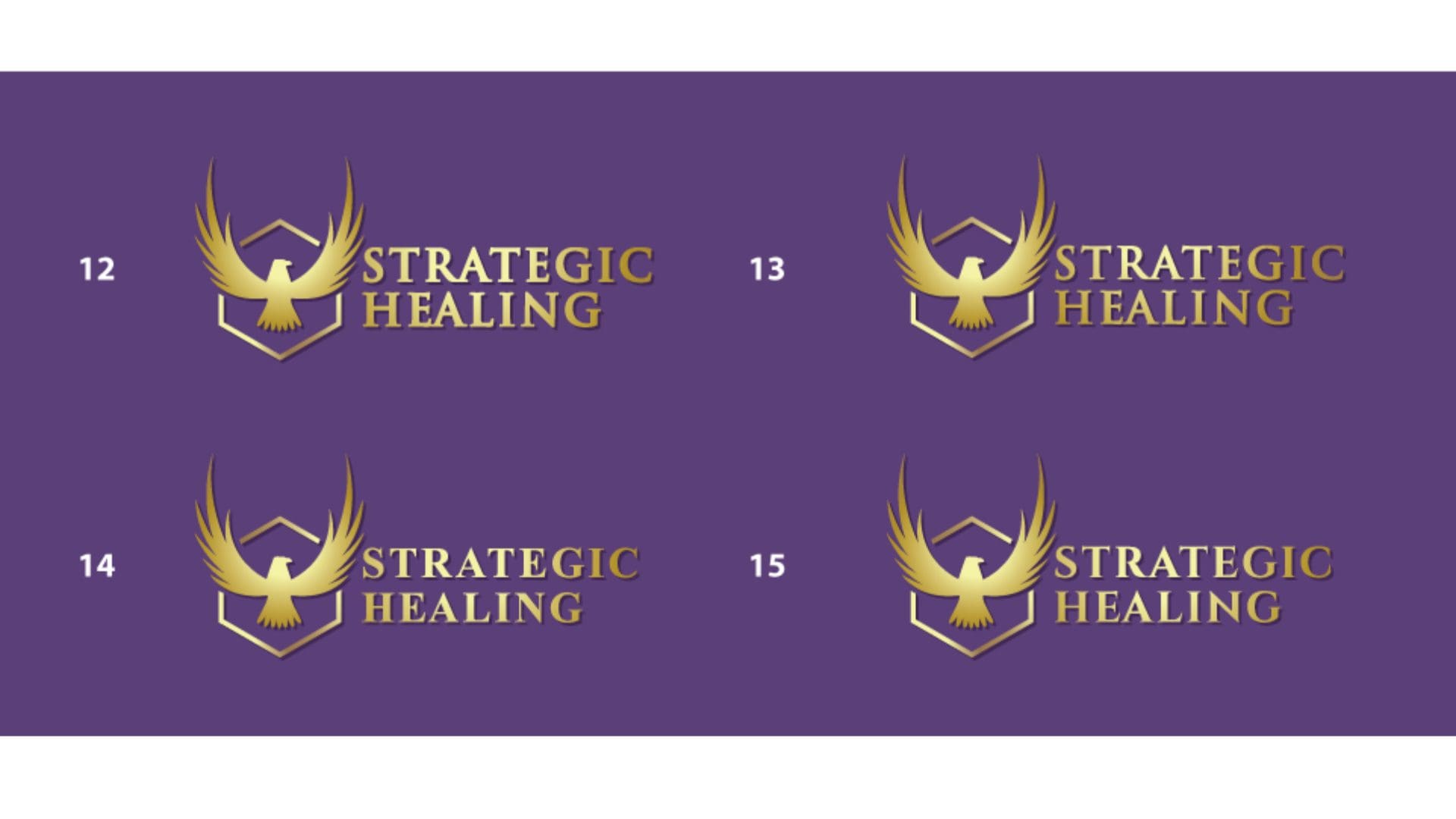 Strategic Healing - Eagle Concept 12-15