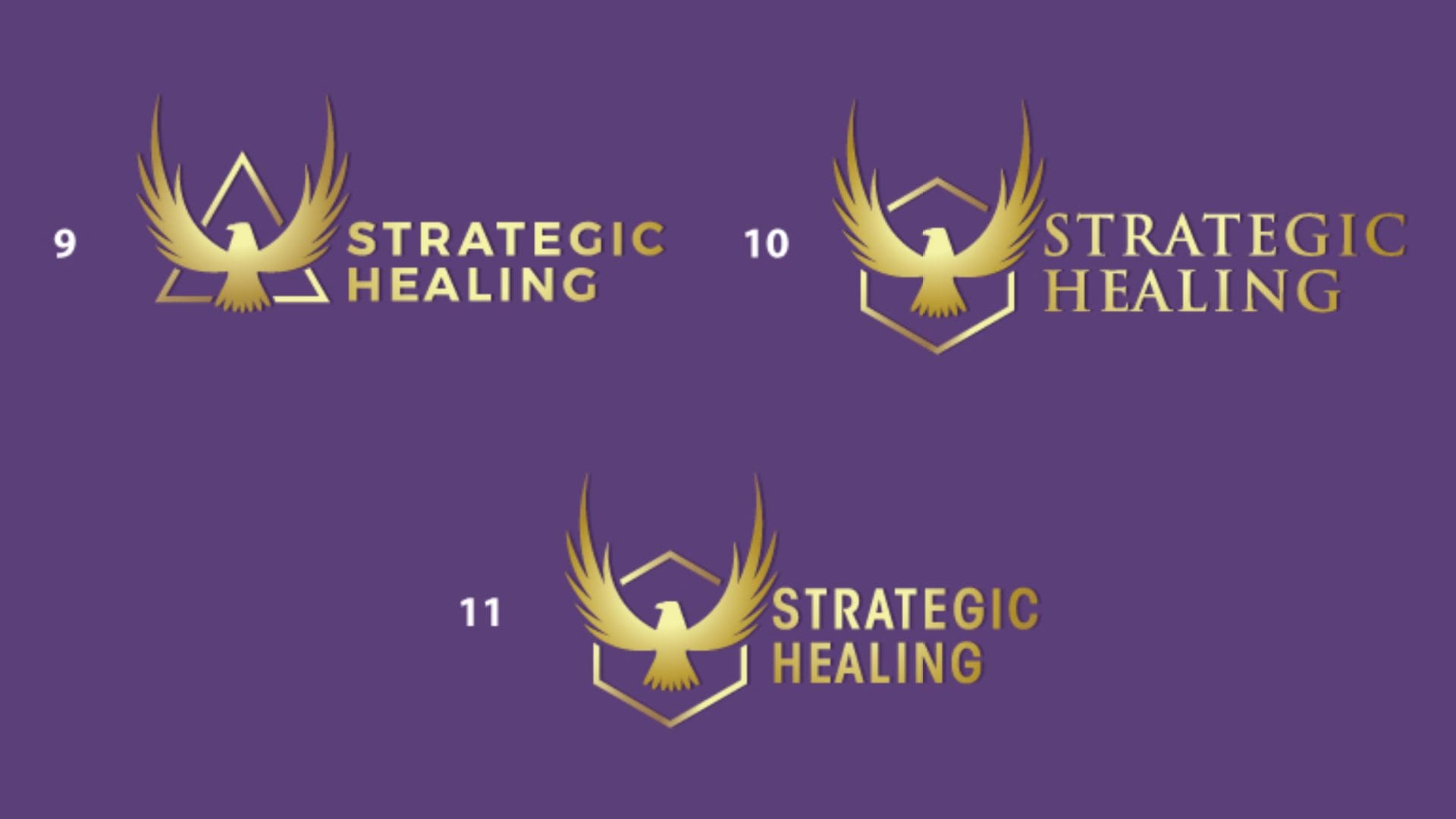 Strategic Healing - Eagle Concept 9-11