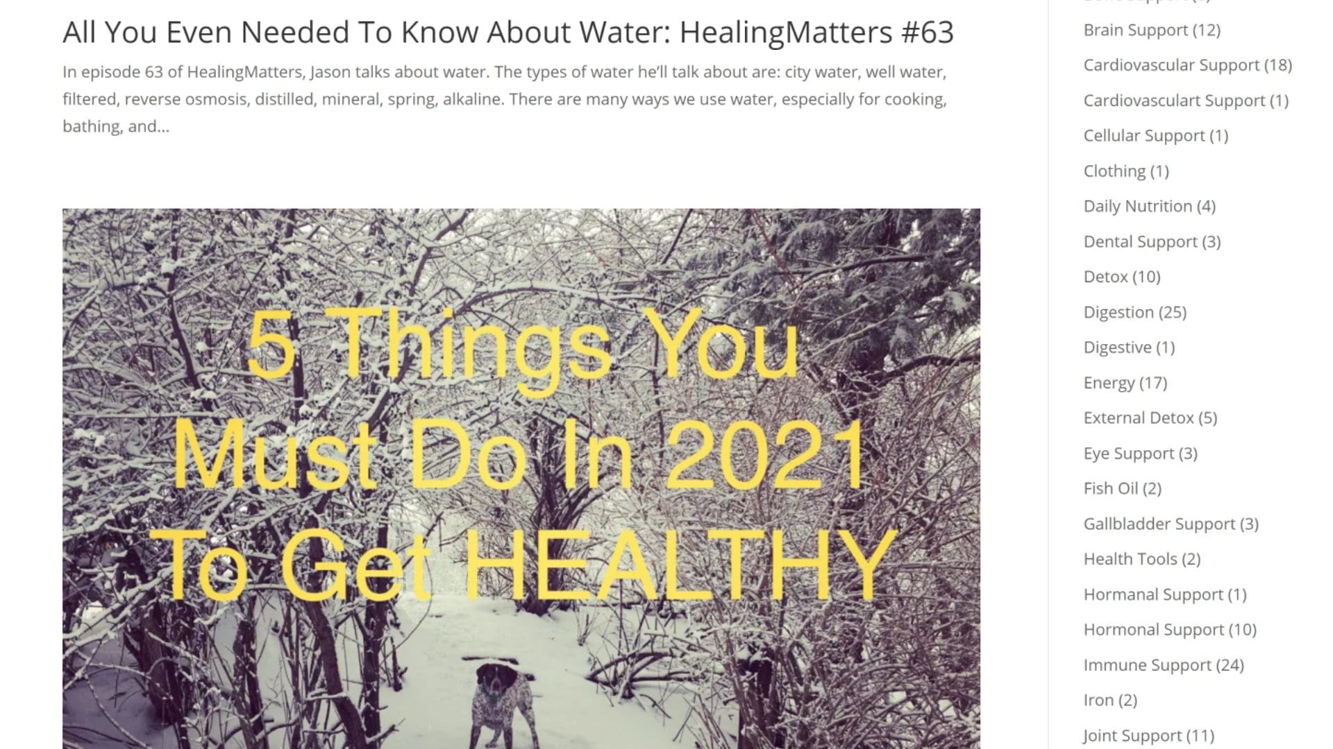 Health and Wellness Website (7)