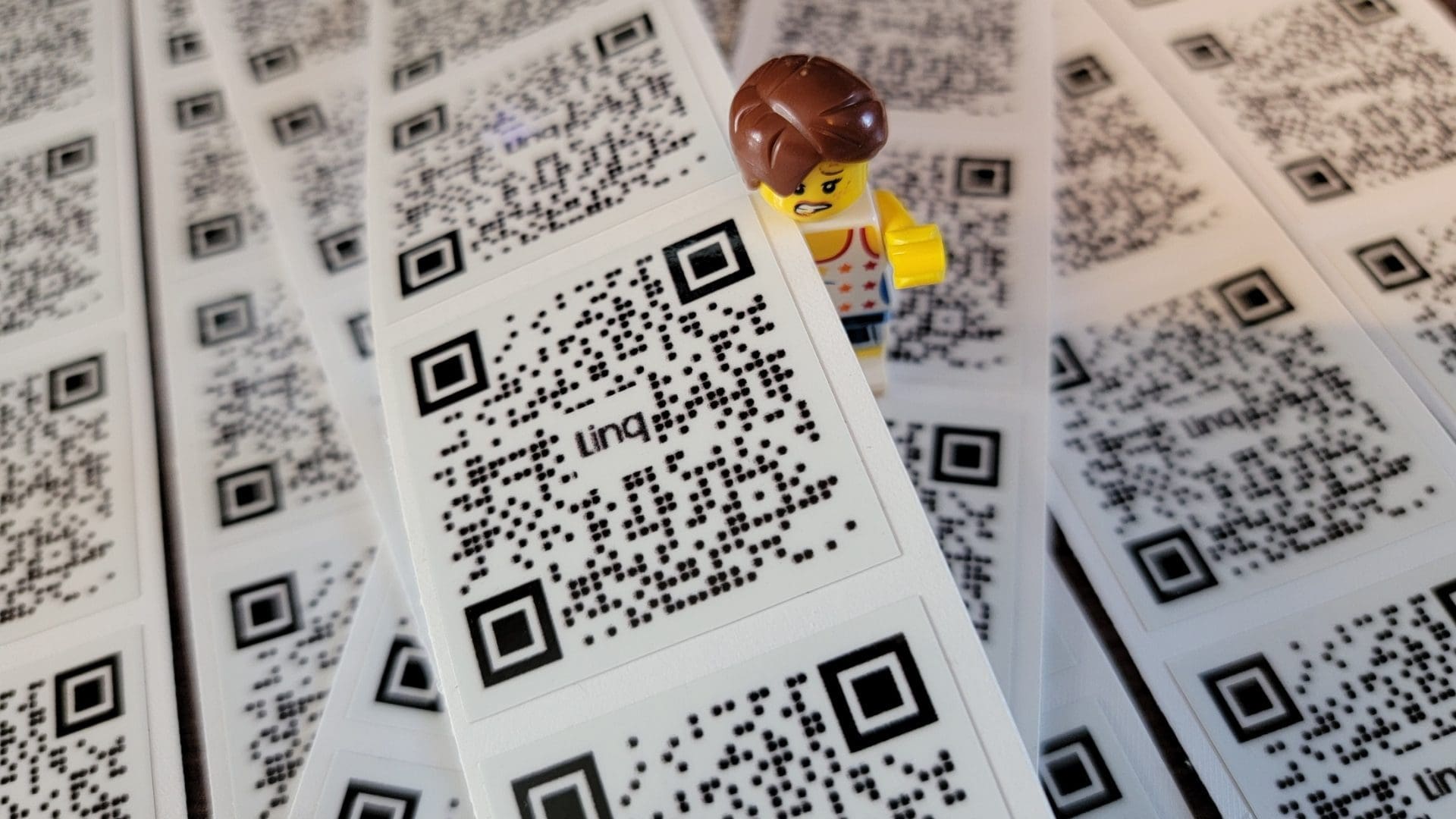 Custom Printed Linq QR Codes 4