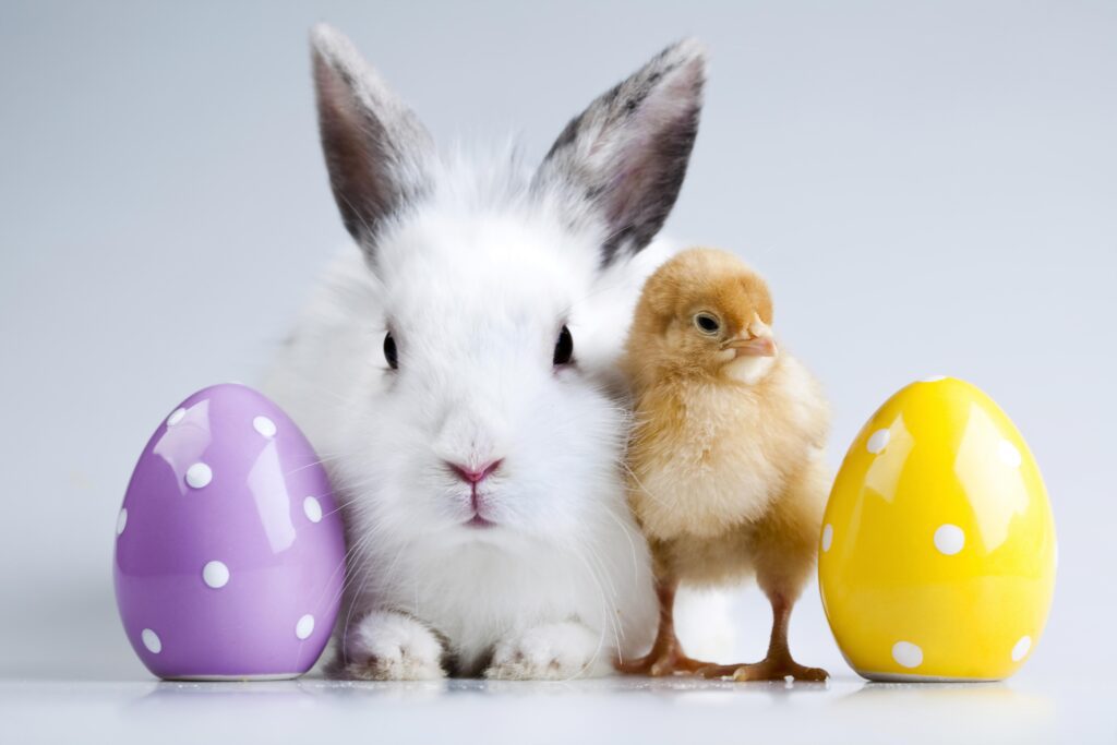 Fusion Marketing Holiday Marketing Ideas for the 2022 New Year Easter