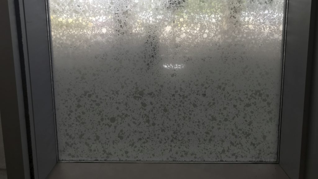 Frosted Window Film 1