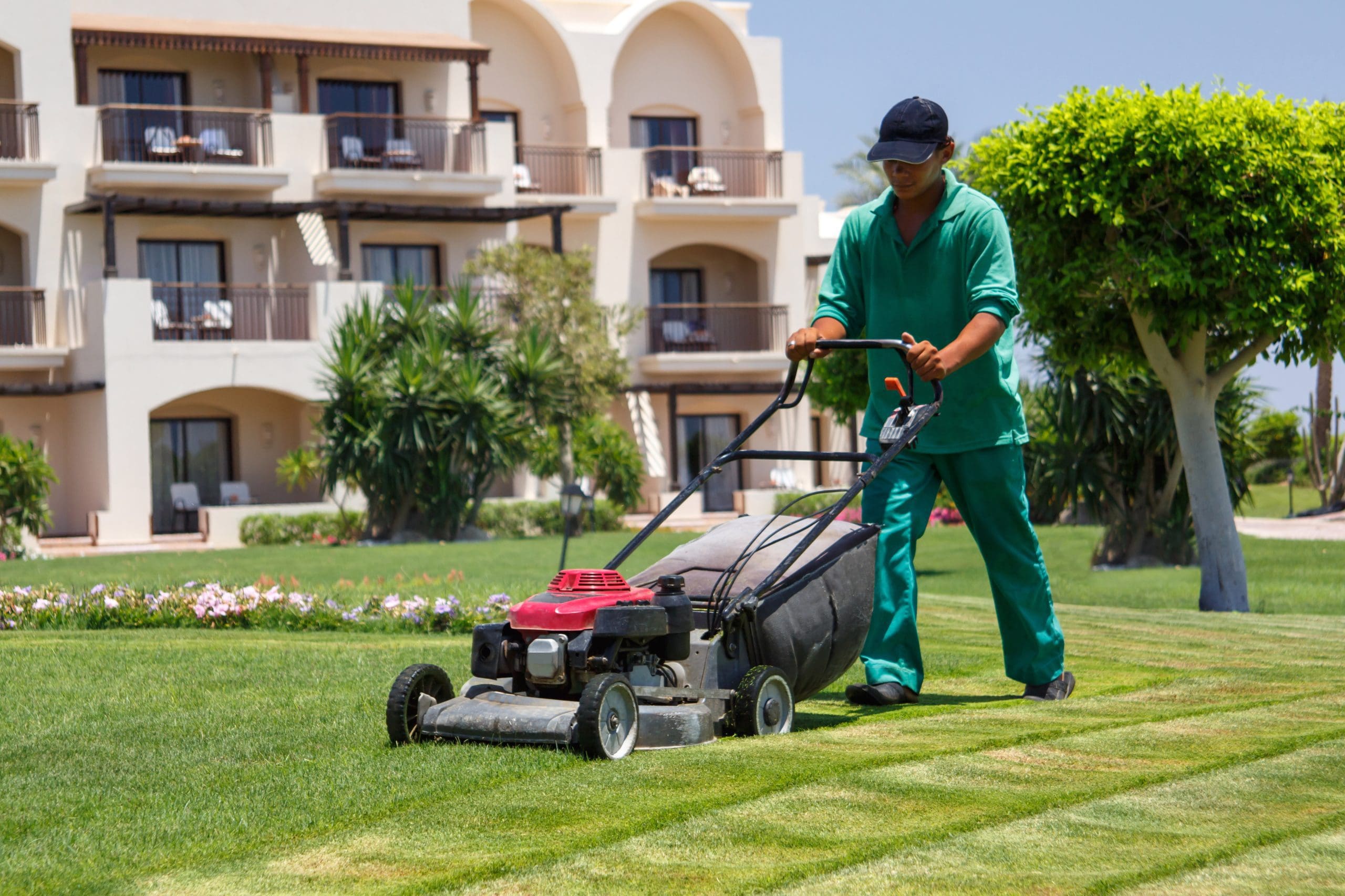 Lawn Care Logos: Why They Matter