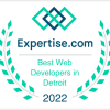 Best Web Developer in Detroit