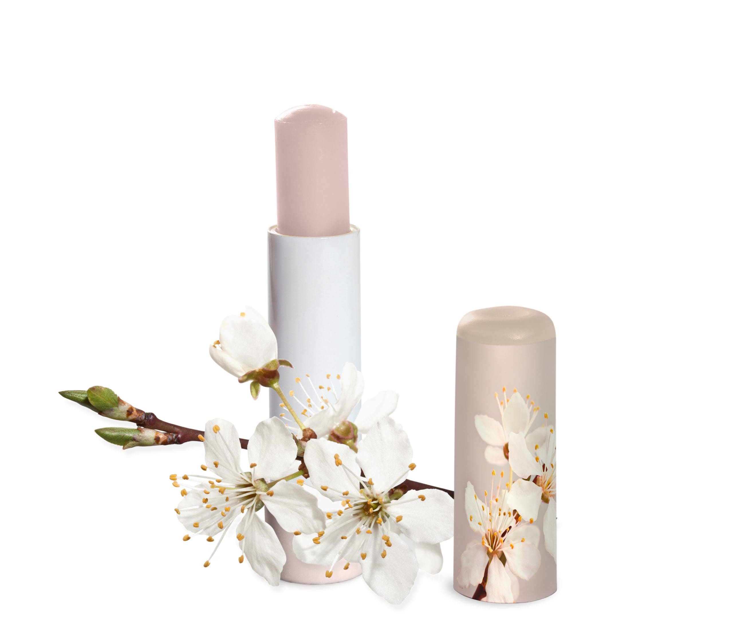 Fusion Marketing Harness the Power of Custom Lip Balm Tubes to Elevate Your Promotional Branding Pretty Packaging