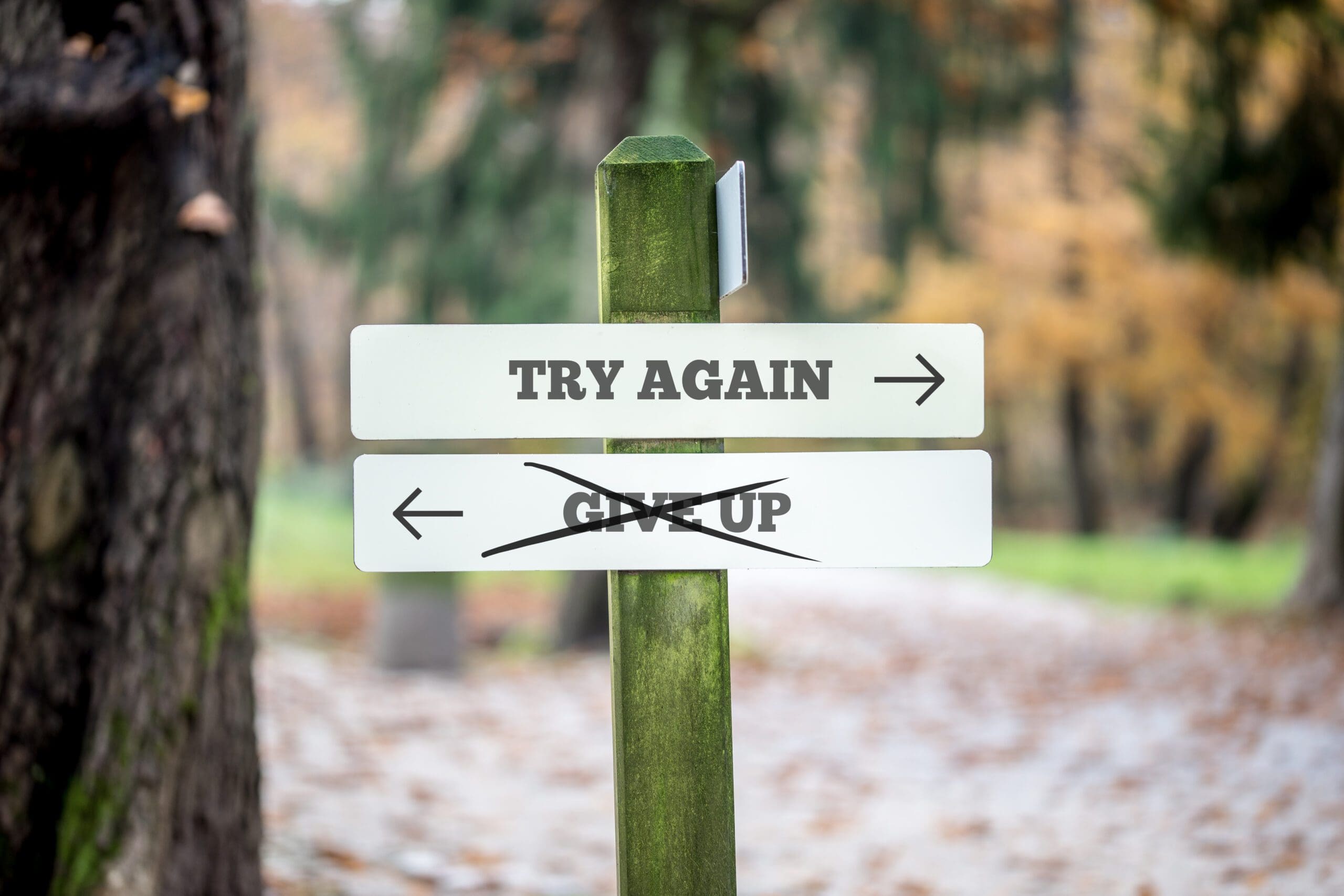Signboard with two signs saying Try again Give up pointing