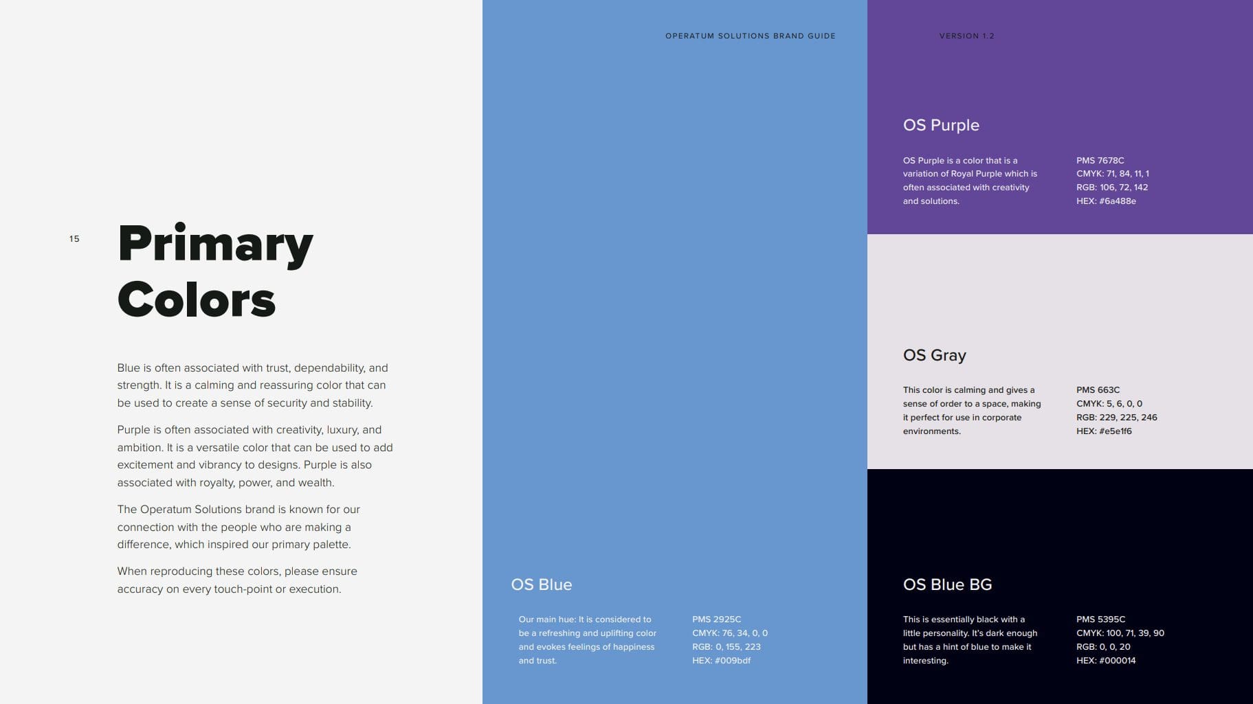 Operatum Solutions Brand Guidelines Color Guide Page