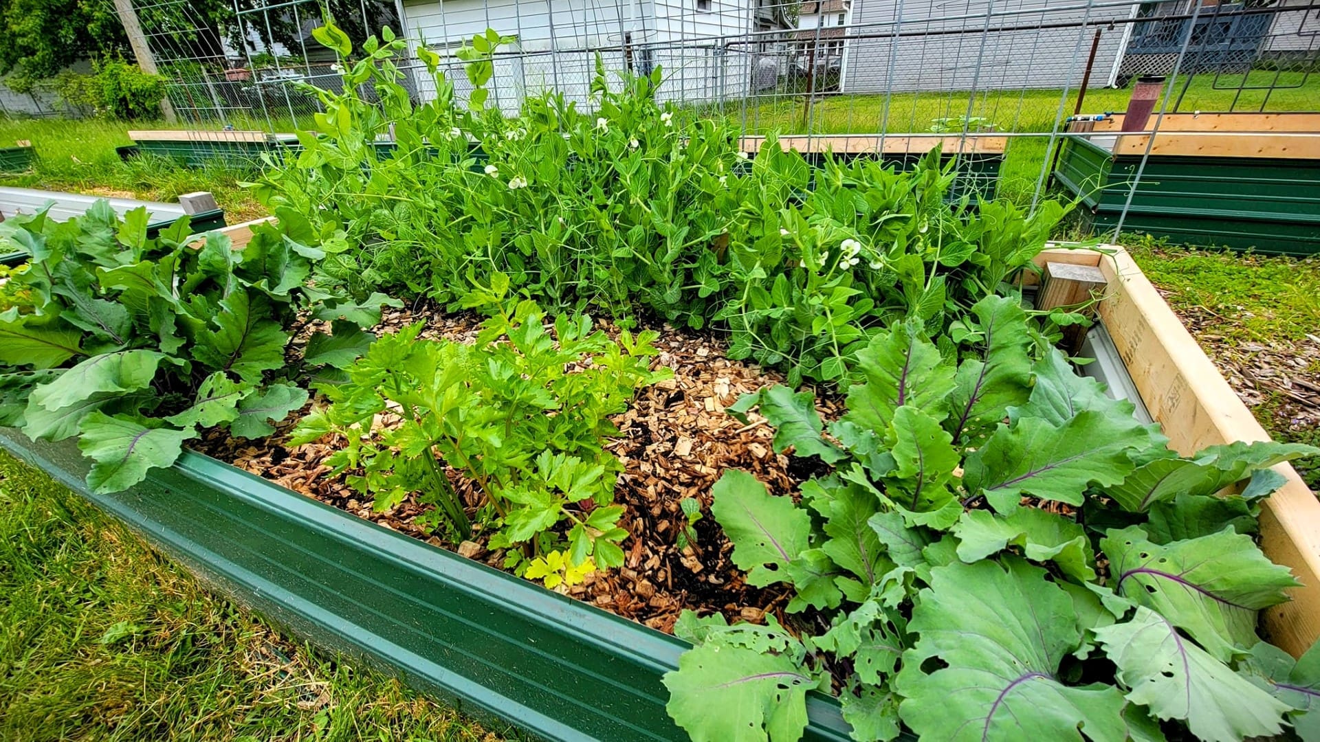 Fusion Marketing Fertile Ground Cultivating an Urban Farm Logo That Bears Fruit Do You Want Your Logo to Bloom Eastpointe Community Garden