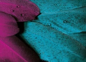 Tertiary Colors